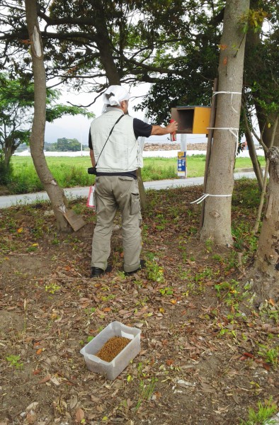 楢葉町　津波で被害を受けたエリアの餌場　撮影・松中みどり