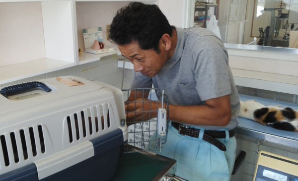 福島6・25-52動物の保護活動を震災直後から続ける赤間徹さん 撮影・松中みどり