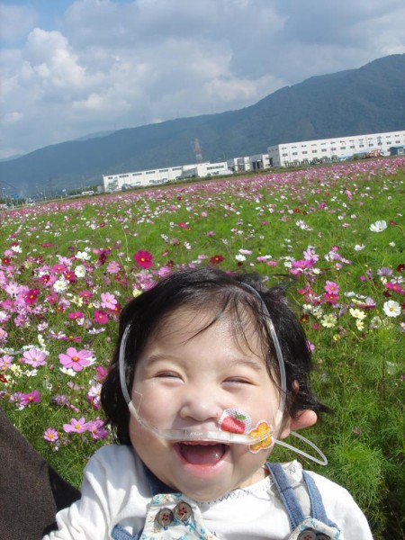 コスモス畑を背景に笑うあ～ちゃん 　2歳のお誕生日　写真提供:林智子さん