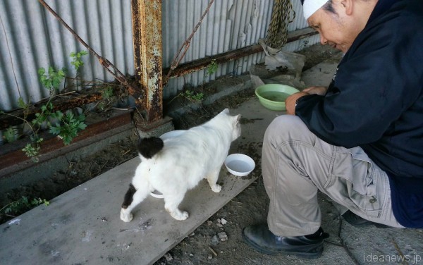 福島第一原発20キロ圏内に生きる猫への給餌を事故直後から今も続けるフリーフォトグラファー太田康介さん=撮影:松中みどり