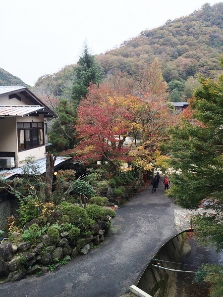 マルキ旅館の玄関先の道、奥に見えているのは川向うの宝塚側の山＝2015年11月13日、撮影・橋本正人