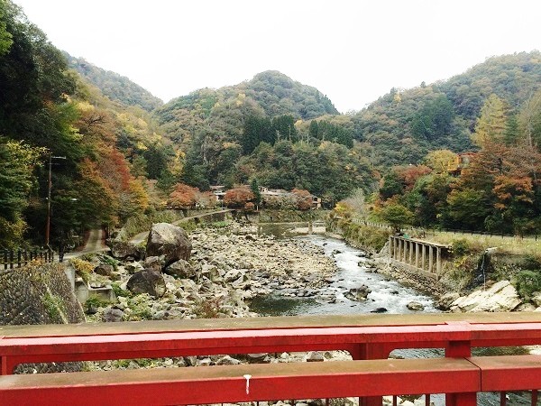 ＪＲ武田尾駅へと続く小さな吊り橋「武田尾橋」の上から見た風景。写真中央部に「マルキ旅館」がみえる。写真の川の左側が西宮市、右側が宝塚市＝2015年11月13日、撮影・橋本正人