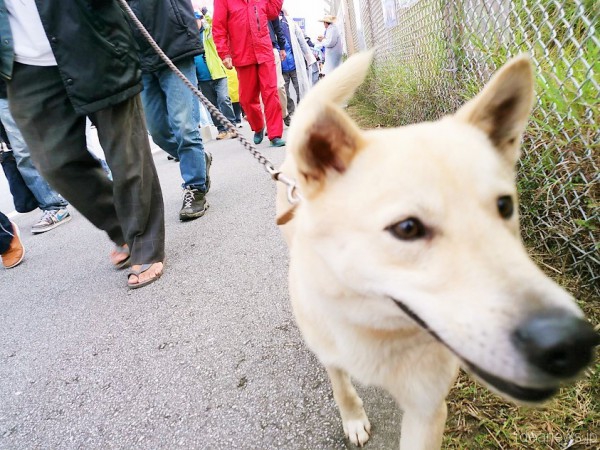 2016年1月13日=撮影・松中みどり