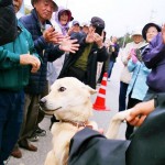 ポン様も踊ります＝撮影・松中みどり