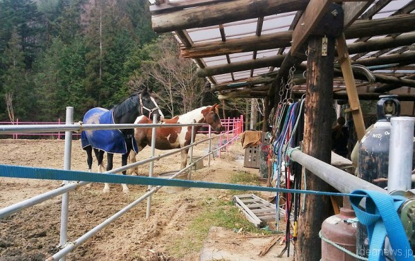 細川牧場=撮影・松中みどり