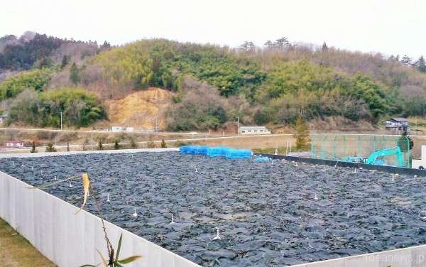 除染廃棄物②　巨大なコンクリートで出来たプールの中に、ぎっしりと袋が積みあがっていました=撮影・松中みどり