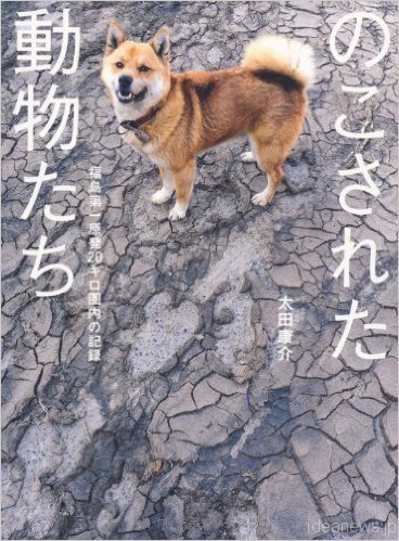 「のこされた動物たち　福島第一原発20キロ圏内の記録」