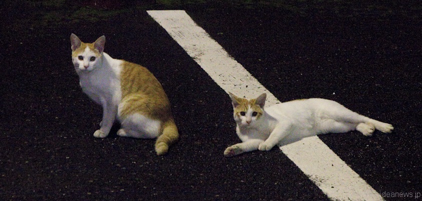 アイキャッチ