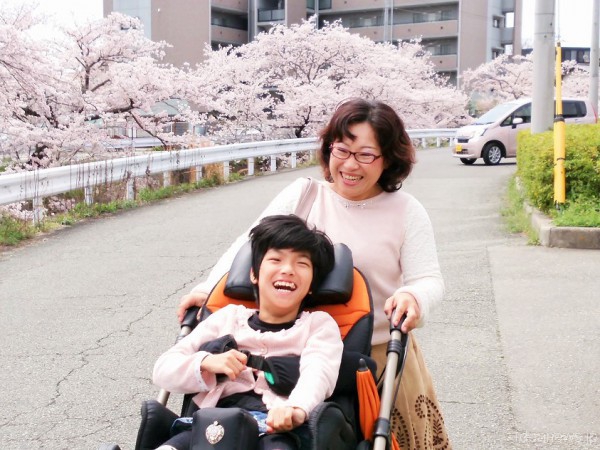 2016年4月6日、満開の桜がレノアちゃんとお母さんの敦子さんのこれからを祝福していました＝撮影・松中みどり