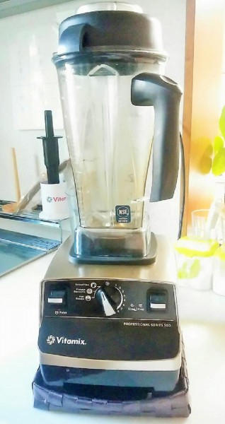 Eさんの食事作りで使われているのはプロ仕様のミキサーVitamix（バイタミックス）＝撮影・松中みどり