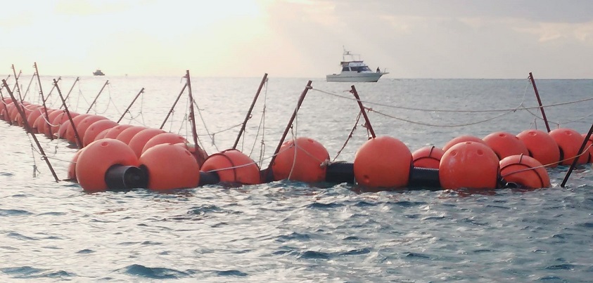 辺野古・大浦湾に出現したフロートは工事に抗議する人たちを阻むためのもの=撮影・松中みどり