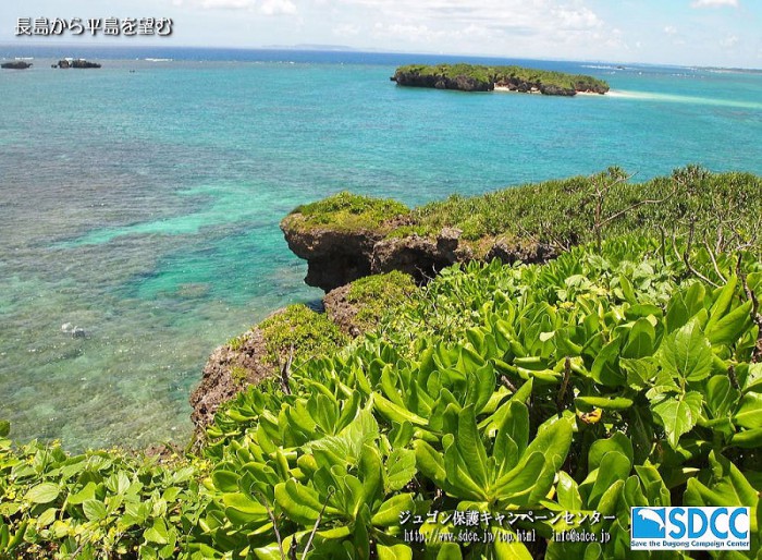 長島と平島。辺野古崎近くの無人島。日豪渡り鳥条約の保護鳥、エリグロアジサシが営巣します。ジュゴン保護キャンペーンセンター（SDCC）ホームページより