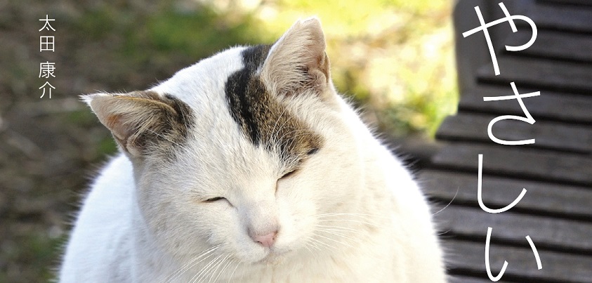 単行本『やさしいねこ　うちの ぽー』表紙より