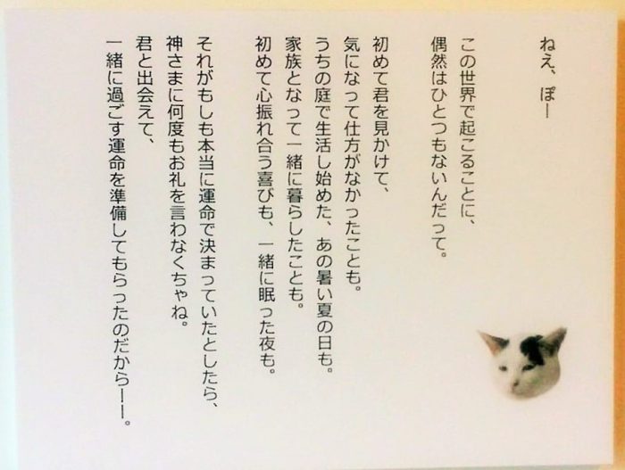 「やさしいねこ」写真展に飾られていた太田さんのお連れ合い、太田あきこさんの言葉＝撮影・松中みどり