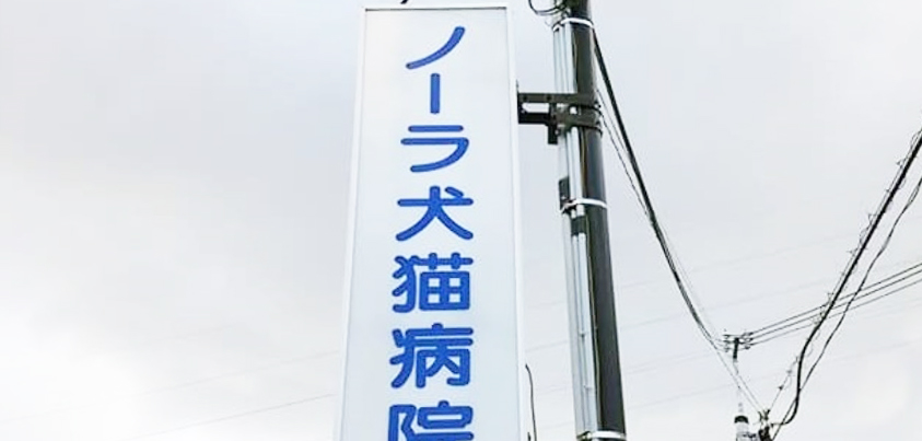 「ノーラ犬猫病院」の看板＝撮影・松中みどり