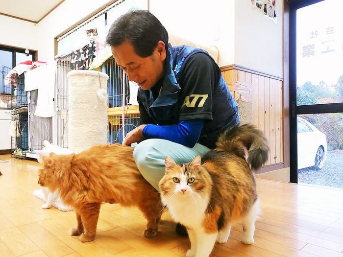 猫たちの様子を見る赤間徹さん＝撮影・松中みどり