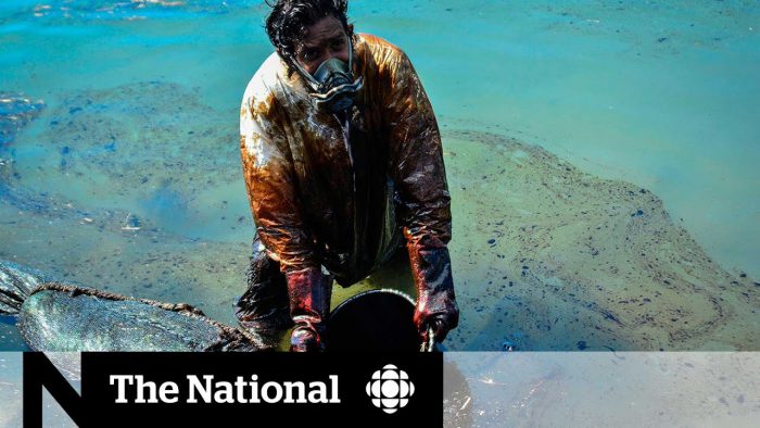 YouTubeのMassive clean-up effort after Mauritius oil spill　CBC News: The National チャンネルより